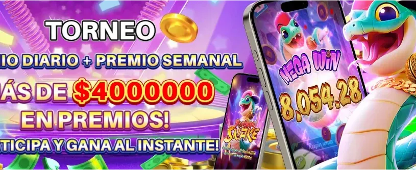 Diversión Total en Naobet Casino